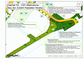 Plan einer CEF-Maßnahme
